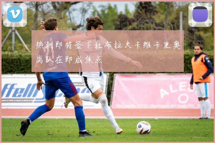 热刺即将签下杜布拉夫卡维卡里奥离队在即成焦点